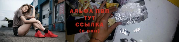 трава Пересвет