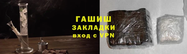 прущие грибы Почеп
