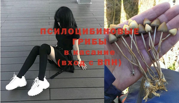 амф Куйбышев